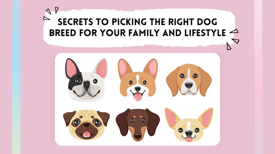 Secrets to Picking the Right Dog Breed for Your Family and Lifestyle